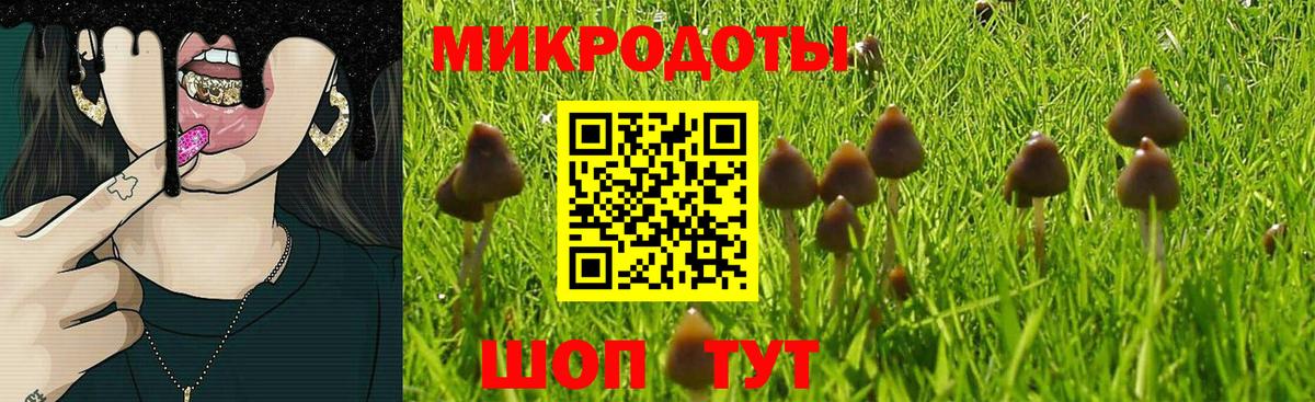 Кулебаки  наркотики  Вход с VPN  Галлюциногенные грибы Cubensis 